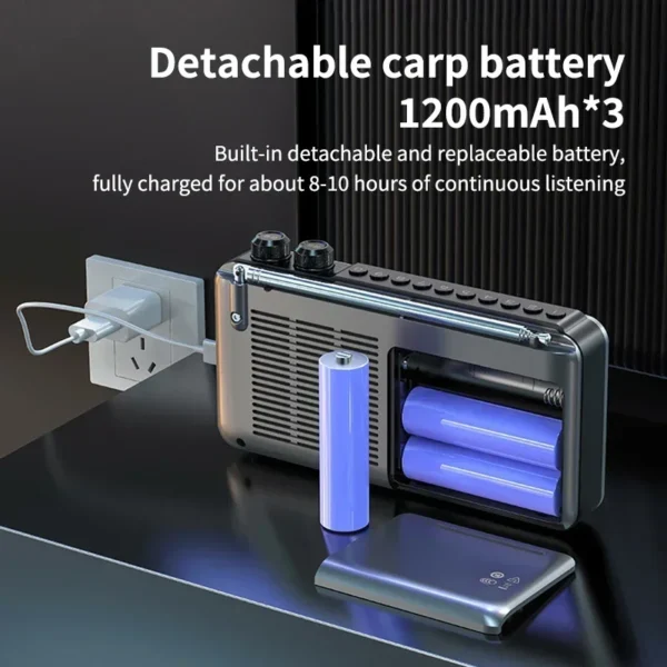 Sansui F51/F50 Portable Speaker with HD Screen - Image 4